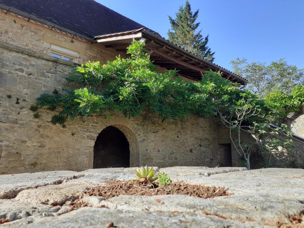 Gite "Las Casitas Du Lot" Dans Le Perigord Frayssinet-le-Gelat Bagian luar foto